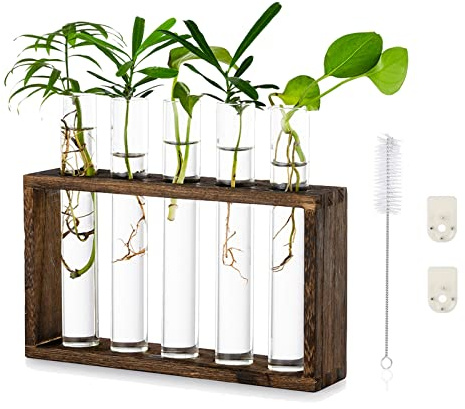 Glasseam Modern Blumenvase Kleine Vasen Deko Set Vintage Glas Reagenzgläser Für Blumen Mit Ständer Holz Propagation Station Für Tischdeko Wohnzimmer Outdoor Taufe Geburtstag Hydroponik