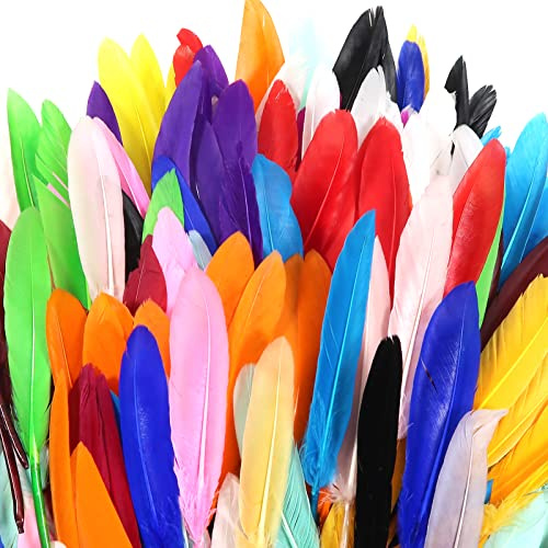 TOAOB 250 Stück Federn zum Basteln Bunte Läng 10 bis 15 cm Indianer Federn Groß Natürliche Feder für DIY Handwerk Dekoration für Traumfänge Ohrring