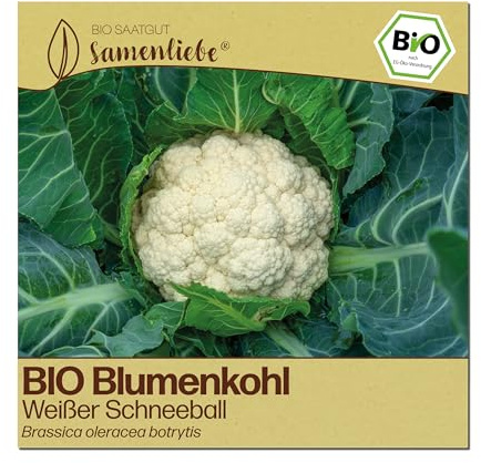 Samenliebe BIO Blumenkohl Samen | Weißer Schneeball - weiß & groß - samenfestes BIO Saatgut