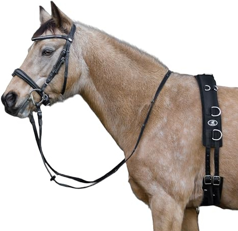 CALEVO - Nylon Longiergurt Training