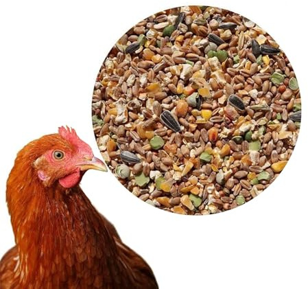 25 kg Premium Hühnerfutter Körnerfutter Plus Geflügelfutter für Hühner, Gänse, Enten - GVO frei Kükenfutter