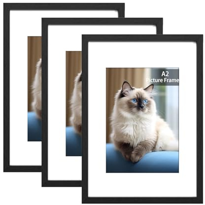 RUN HELIX 3 Pack Bilderrahmen A2, A2 Bilderrahmen Schwarz, Fotorahmen zum Aufhängen mit Poster, Posterrahmen Benutzt für Wohnzimmer, Schlafzimmer, Arbeitszimmer