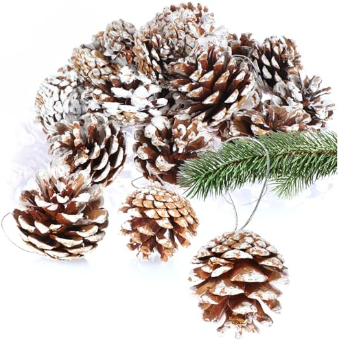 COM-FOUR® 20x Anhänger Tannenzapfen mit weißen Spitzen, Pinienzapfen | Zapfen Deko zum Anhängen - Bastel Set - Weihnachtsschmuck