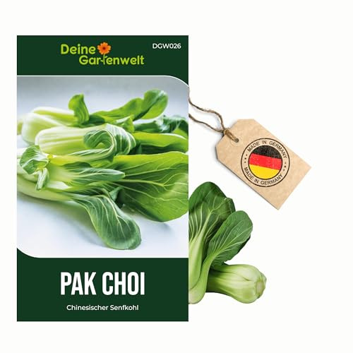 Pak Choi Chinesischer Senfkohl Samen - Brassica rapa - Kohlsamen - Gemüsesamen - Saatgut für 60 Pflanzen