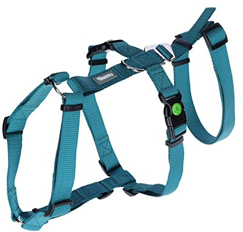 Kerbl Pet Panikgeschirr, Hundegeschirr, Petrol, Halsulmfang 30-41cm, Gurtbreite 15mm, für ängstliche Hunde, robust, verstellbar