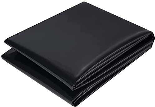 PALUDO PVC Teichfolie 2M X 2M, Schwarz HDPE Teichfolien Schwerlast, Dichtungsfolie Teichmembran Schwimmteich Folie Gartenteich Teichplane für Fischteiche, Brunnen, Wassergarten und Wasserfall