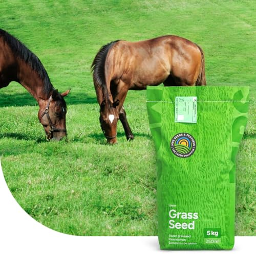 Grassamen Pferdeweide - Elite Mix | 1 kg - 100m2 | Universalmischung für Pferdeweiden | Hohe Trittfestigkeit | Neuanlage und Nachsaat | Schmackhaft und Zuckerarm | Für alle Böden geeignet | MRS Seeds