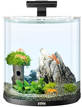 Tetra Explorer Line 30 L Aquarium Komplett-Set - Design Aquarium mit gebogener Frontscheibe, LED-Beleuchtung, Technik, Futter und Pflegemitteln, Farbe: Schwarz