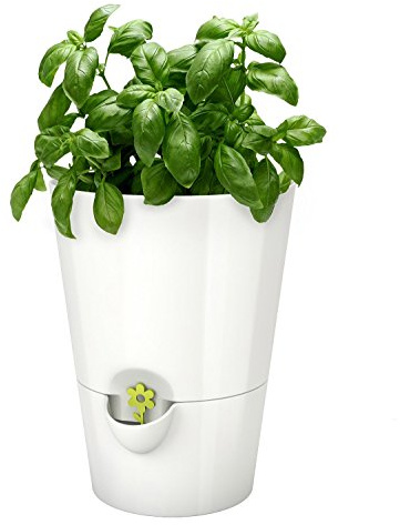 Emsa 514244 Kräutertopf für frische Kräuter, Selbstbewässerung, Wasserstandsanzeiger, Ø 13 cm, Weiß, Fresh Herbs