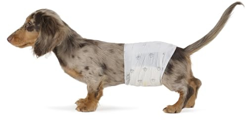 Amazon Basics Hundewindel für Rüden, Einwegwindeln, Größe S, Weiß, 50 Stück