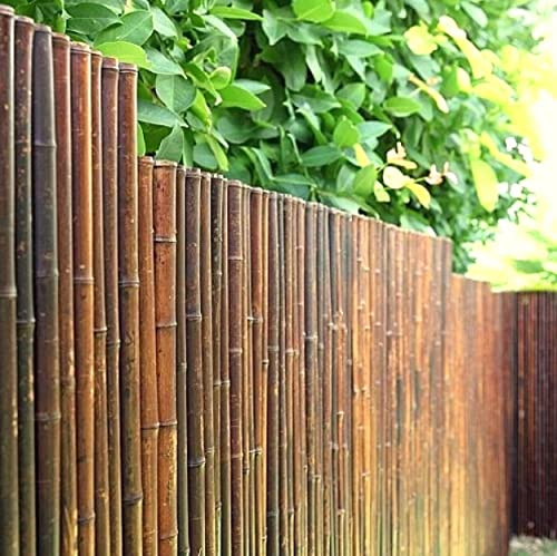 DE-COmmerce Hochwertiger Bambus Zaun Sichtschutz ATY Nigra, oben geschlossen, Rollzaun, Gartenzaun, Sichtschutzzaun für Garten, Terrasse, Balkon (HxB) 150 cm x 180 cm