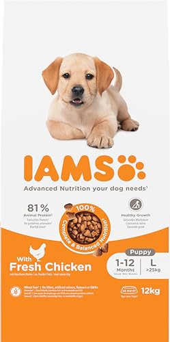 IAMS Welpenfutter trocken mit Huhn für große Rassen, 12 kg | Trockenfutter | für Welpen | für Junior Hunde | im Alter von 1-12 Monaten | für große Rassen