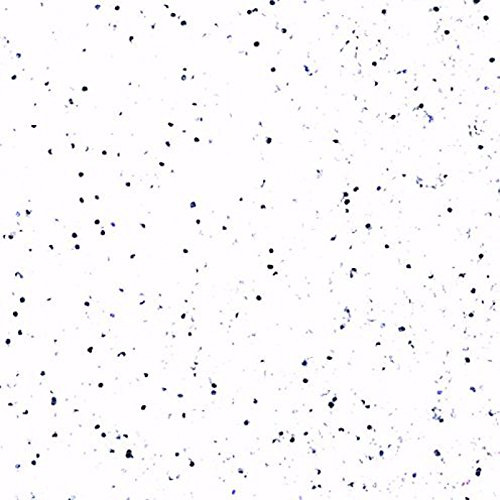 Embossing-Pulver WEISS-SILBER SUPERGLITZER 13 ml