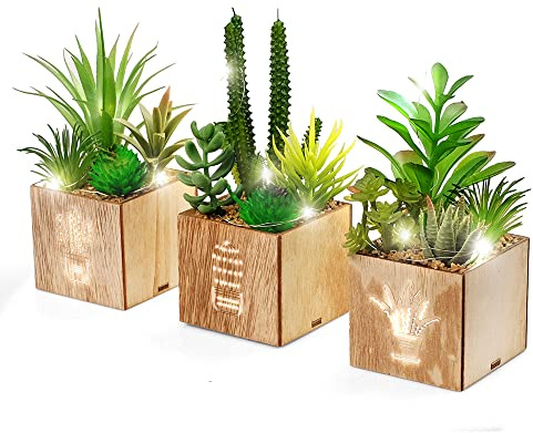 BEGONDIS Set von 3 künstlichen Sukkulenten mit Led-Leuchten in Holzkiste, künstliche Pflanzen Plastik -Topiary für Wohn-/Bürodekorationen, Tischdekoration, Valentinstag.