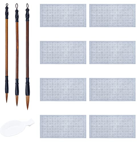 PH PandaHall 12-Teiliges Chinesisches Kalligrafie Set, 8 stücke Wasser Schreibtuch Papier 3 Stile Traditionelle Kalligraphie Pinsel Wasserschale Für Anfänger Üben Sumi Zeichnung Malerei Frühlingsfest