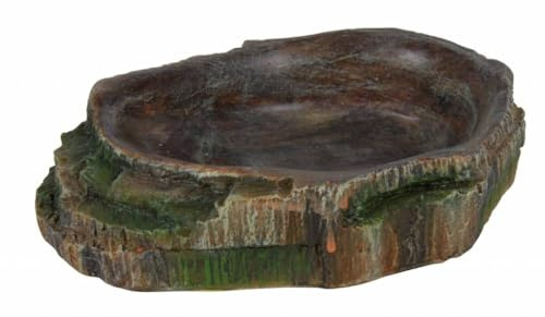 Trixie 76204 Wasser- und Futterschale für Reptilien, 18 × 4,5 × 17 cm, beige