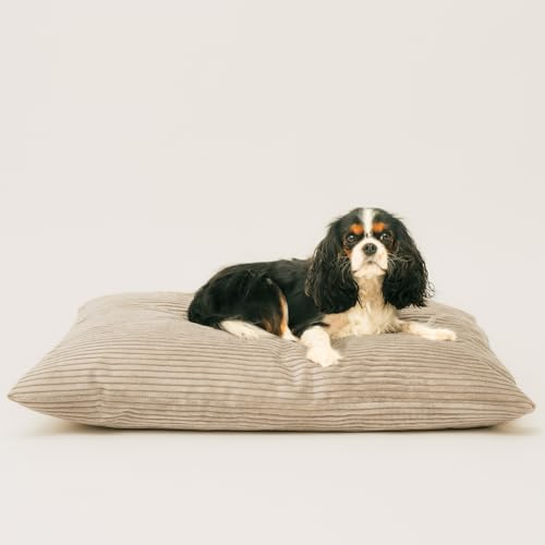4L Textil Molly Weiches und Kuscheliges Hundebett für Grosse Hunde, Bezug und Reißverschluss, Waschbar (100x80 cm, Latte (Streifen))