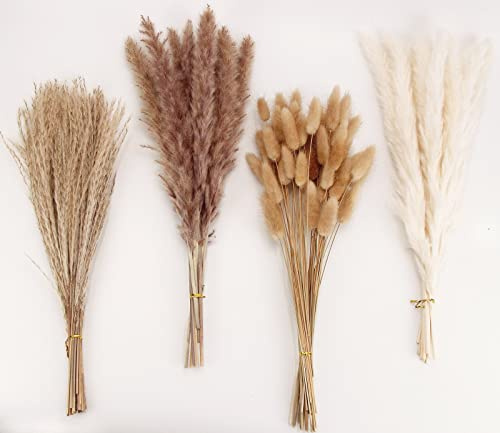 ANPROOR Getrocknete Pampasgrasdekoration, 100 Stück Pampasgras mit Bunny-Tails-getrockneten Blumen, Schilfgrasstrauß für Hochzeits-Boho-Blumen und Tischdekoration zu Hause, rustikale Bauernhaus-Party