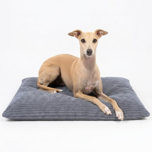 4L Textil Molly Hundebett Hundekissen Cord | 60x50 cm | Dunkelgrau | Abnehmbarer Bezug | Mit Reißverschluss | Maschinenwaschbar | Robust | Mit Bezug