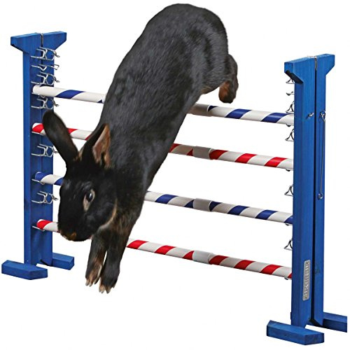 Kerbl Pet Agility Kombisprung für Nager, Höhe 53 cm