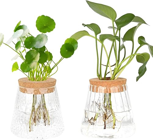 MJFENDAI 2 Stück Hydrokultur Pflanzen Terrarium, Vintage Kleine Vasen für Tischdeko, Glasvase Propagation Station Kugelvase für Plant Blumen Zimmerpflanzen Pflanze Hydrokultur