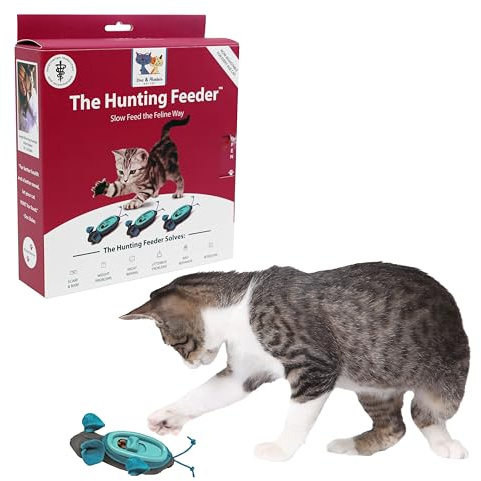 Doc & Phoebe Interaktiver Futterspender für Katzen, für den Innenbereich, Einheitsgröße