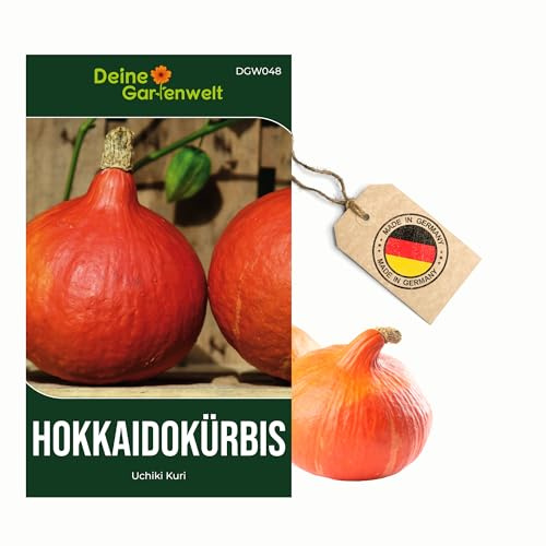 Hokkaido Kürbis Uchiki Kuri Samen - Cucurbita maxima - Kürbissamen - Gemüsesamen - Saatgut für 8 Pflanzen