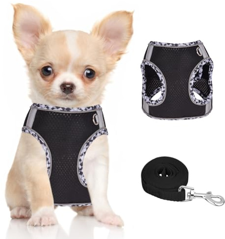 Doggiekit Hundegeschirr Kleine Hunde mit Leine, verstellbares reflektierendes Step in Welpengeschirr Leine, Atmungsaktives Mesh Hundegeschirr,weich gepolsterte Weste für extra kleine/mittelgroße Hunde
