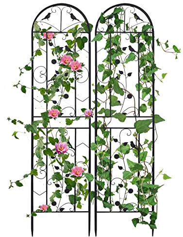 unho Rankgitter 2er Set Metall: 205 x 50 cm, rostfrei Rankhilfe Garten Spalier Rankzaun Kletterpflanzen Gartendeko Rosengitter Pflanzengitter Garten Schwarz