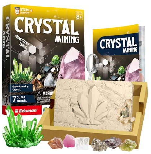 Mineralien Ausgrabungs-Set, Grabe 7 echte Mineralien, Edelsteine und Gesteinssammlung, Kristall Zucht, Kristalle Selbst Züchten, Experimentierset für Kinder ab 7 Jahre zum Thema Geologie