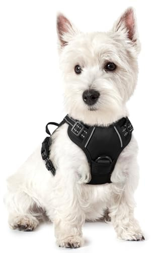 rabbitgoo Hundegeschirr Kleine Hunde Anti Zug mit Griff, XS, Schwarz | No Pull & Individuell Anpassbar, Atmungsaktiv Gepolstert, 2 D-Ringe, Schnellverschlüsse, Reflektierend für Gassi & Training