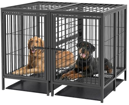 BingoPaw Hundekäfig XXXL Schwerlast Hundebox: 2 in 1 Doppelbox Hundegitterbox mit Trennwand, 2 Türen und Tablett, Haustierkäfig Indoor für große mittelgrosse Hunde 130x100x100 cm