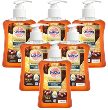 Sagrotan Handseife Winter Limited Edition Frosted Citrus – Feuchtigkeitsspendend – 6 x 250 ml