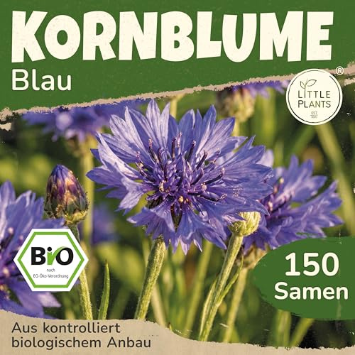 Little Plants BIO Kornblumen Samen 150 Kornblumensamen Blumensamen für Blumenkübel Samenfest Blumen Samen für Balkon und Garten