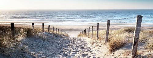 artissimo Glasbild 80x30 cm Bild Strand Dünenweg zum Meer AG3932A – Meerbild aus Glas, maritimes Wandbild Querformat