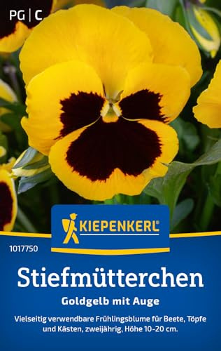 Kiepenkerl Stiefmütterchensamen Goldgelb mit Auge 1017750, Blumensaat | Robuste, winterharte Blumensamen für bezaubernde Beete, Blumenwiese, Wuchshöhe 10-20 cm