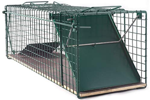 80x26x28cm stabile Katzenfalle Marderfalle Lebendfalle Tierfalle Grün