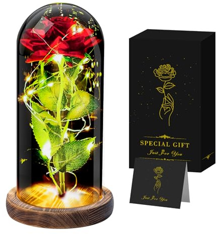 Seachrgif Ewige Rose,Rose im Glas mit licht, Geschenke für Frauen,Oma Freundin,Frau,Ehefrau,Junge Frauen,Schwiegermutter, Schwester Geschenk Muttertag Geburtstagsgeschenk