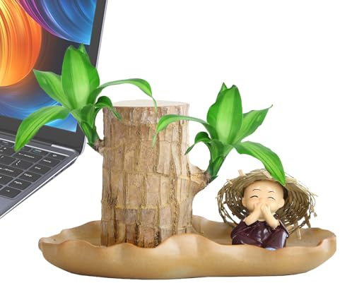 Brasilianische Holz-Bambuspflanze, 10,2 cm hoch, Brasilien-Glücksholz, hydroponische Topfpflanze, luftreinigendes Sprossenholz, bringt Glück und reinigt die Luft