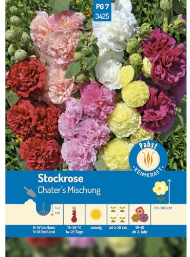 Pabst Keimkraft - Stockrosen Chater's Mischung Samen - 173425