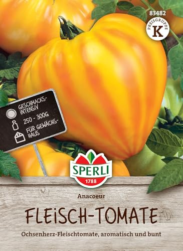 Sperli Riesen-Fleischtomatensamen „Anacoeur“ – Ochsenherz-Fleischtomate mit exzellentem Aroma – Ertragreiches Saatgut für das Gewächshaus mit großen Früchten (bis 300g)