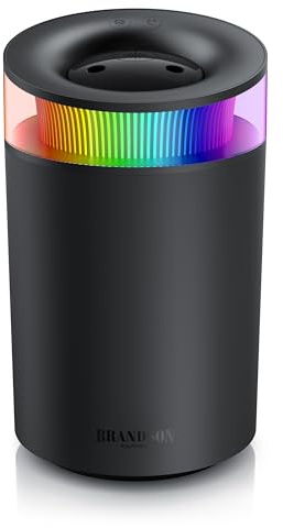 Luftbefeuchter 2,5 Liter leise - 7 LED Farben Stimmungslicht – 2 schaltbare Dampfausgänge – integriertes Aromaöl Fläschchen – 20m² Wohnzimmer Schlafzimmer Kinderzimmer - Aromaölfläschchen - schwarz