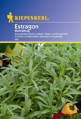 Estragon Samira mehrjährig
