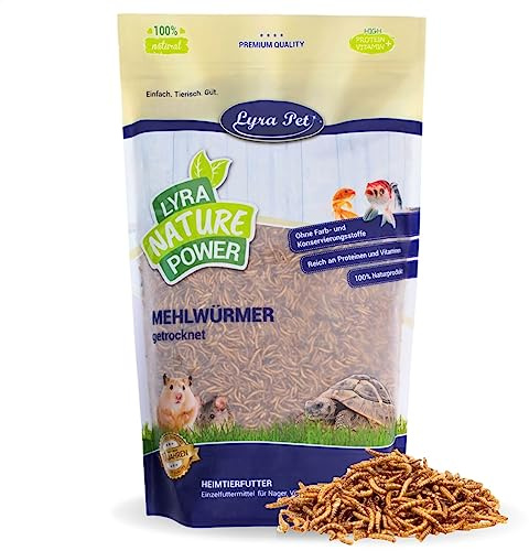 Lyra Pet® | 5 kg Mehlwürmer getrocknet | Proteinreiches Vogelfutter | Für Wildvögel, Nager, Reptilien & Fische | Nahrhaftes Futter | Energiespender für Insektenfresser | Vitamine & Mineralstoffe