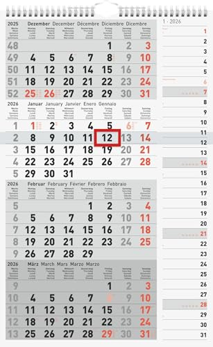 rido/idé 4-Monatskalender '26 | grau, 300×490 mm