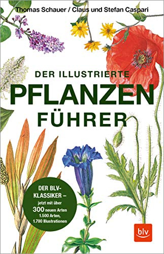 Der illustrierte Pflanzenführer: Der BLV-Klassiker – jetzt mit über 300 neuen Arten | Das Standardwerk zur Pflanzenbestimmung: Wildblumen und Kräuter erkennen lernen (BLV Naturführer)
