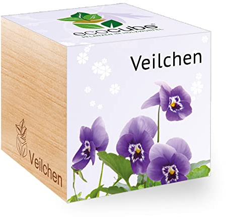 Feel Green Ecocube Veilchen, Nachhaltige Geschenkidee (100% Eco Friendly), Grow Your Own/Anzuchtset, Pflanzen Im Holzwürfel, Made in Austria