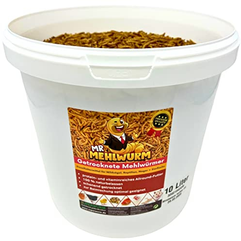 Mr. Mehlwurm 10 Liter getrocknete Mehlwürmer im Eimer (ca. 1,6 kg)- getrocknete Insekten - Top Premium Qualität, GRATIS Versand mit DHL - Futter Snack