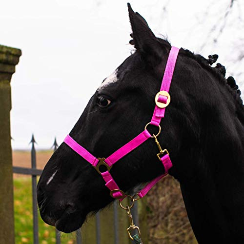 Pferdelinis Halfter für Pferd Warmblut, Vollblut, Kaltblut – Stallhalfter, Weidehalfter, 2 Fach verstellbar an Kinnriemen und Genickstück, sicher & reißfest (Pink, Warmblut (Full))