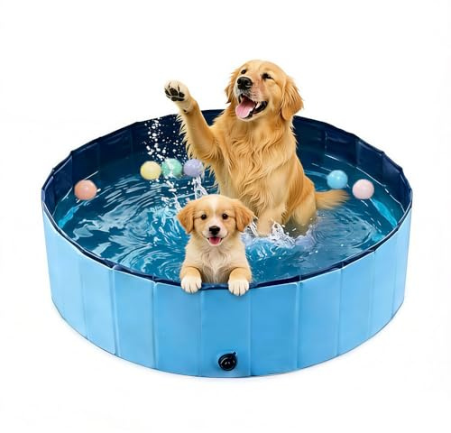 Hundepool 160x30 cm, Hundebadewanne mit Ablaufloch, Planschbecken Faltbarer Pool, 3-Layer Reinforcement rutschfest, Katzenpool, 3 Größen Verfügbar Für Kleine, Mittlere Und Große Hunde Geeignet.